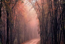 雷恩队大获全胜，获得成功