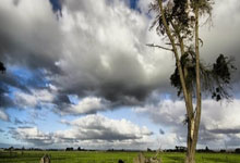 队长老将领衔虐杀对手勇夺胜利