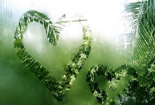 云南队逆袭成功，升至前四