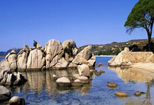 宁夏队客场告捷，延续连胜